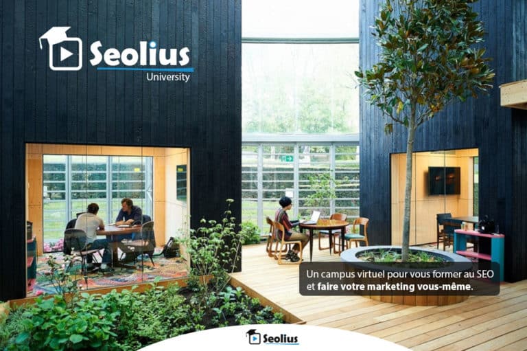 Seolius University, une nouvelle école du marketing