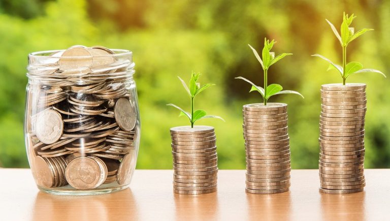 Pourquoi et comment passer au vert dans votre entreprise ?