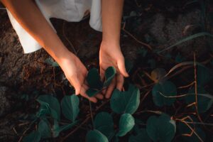 Comment l&rsquo;entrepreneuriat peut-il contribuer à des solutions durables pour l&rsquo;impact environnemental ?